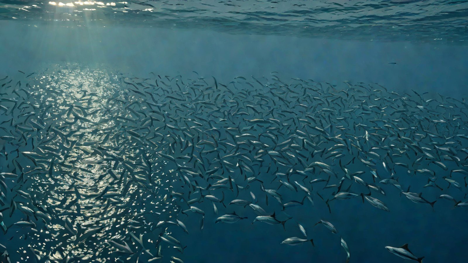 푸른 바다 속에서 서로 소통하는 돌고래들의 모습과 이를 분석하는 디지털 파형 그래프가 결합된 이미지